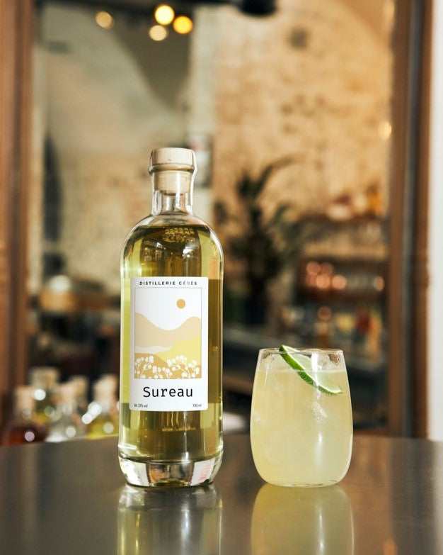 Sureau Liqueur Bio